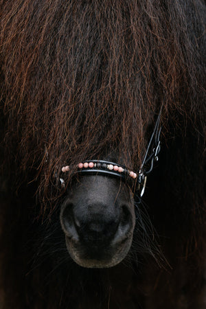 TopReiter Nasenriemen "ORKA" | rosa