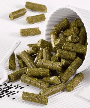 OKAPI Biostickies Schwarzkümmel 125g