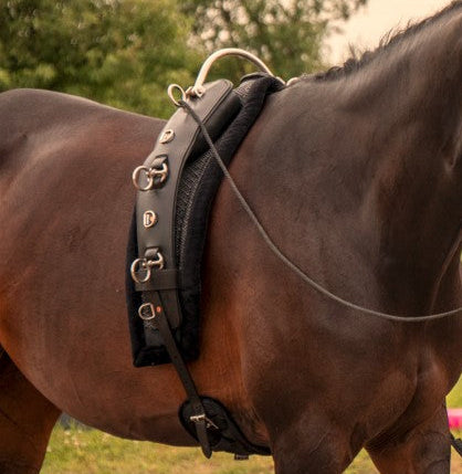 QUITTPAD® Longiergurt “Meisterstück”