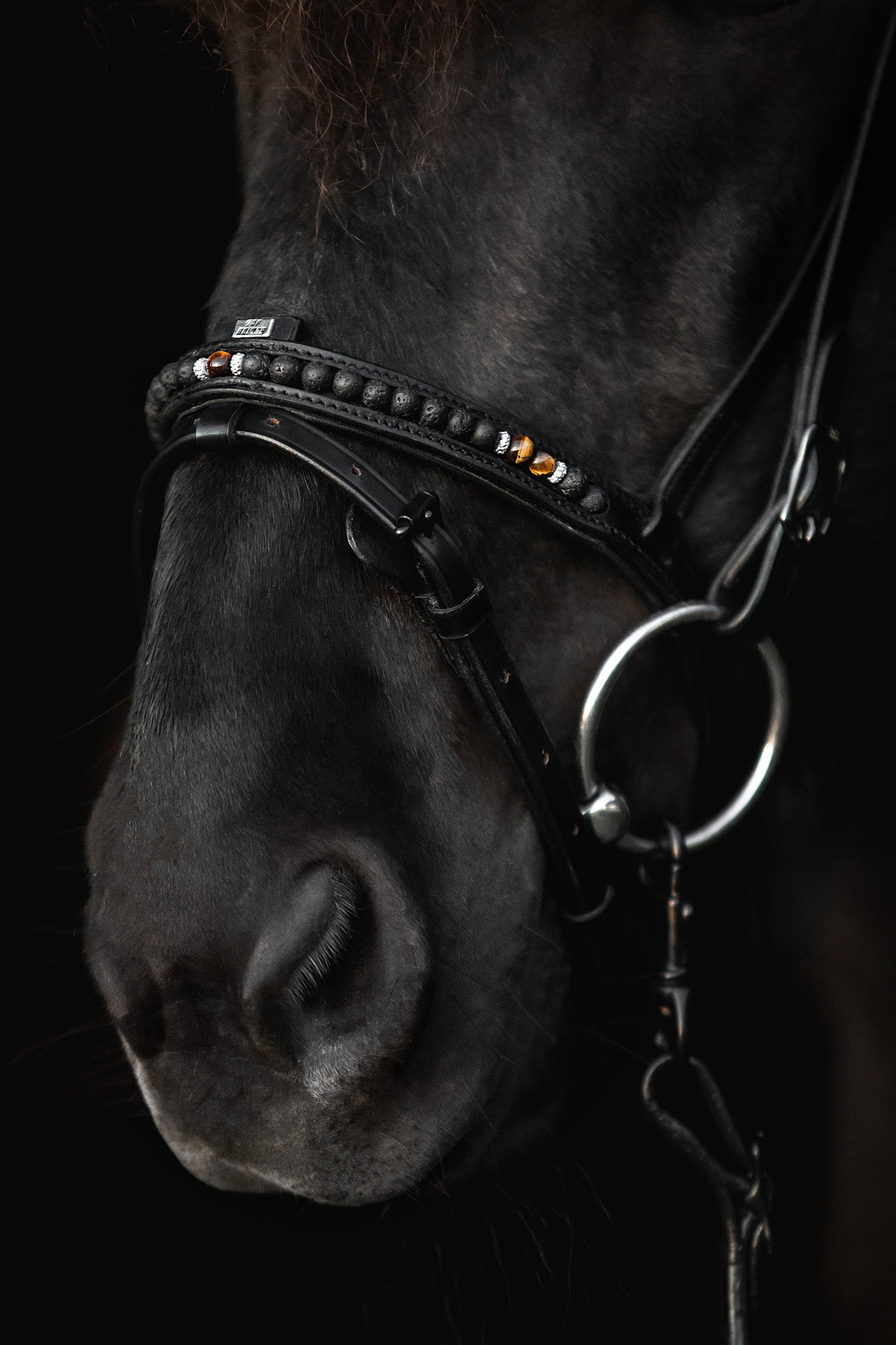 TopReiter Nasenriemen "ORKA" | braun