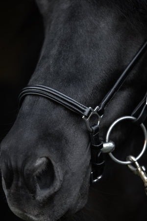 TopReiter NR "KLASSIK"