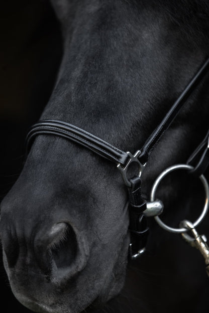 TopReiter NR "KLASSIK"