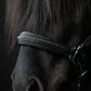 TopReiter Snillingur Leder Halfter