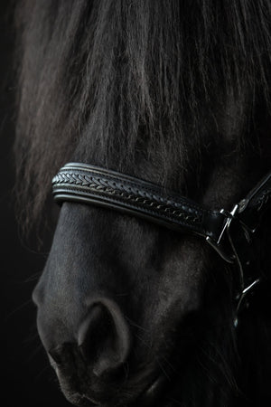 TopReiter Snillingur Leder Halfter
