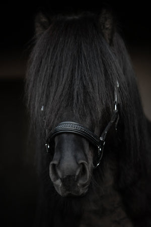 TopReiter Snillingur Leder Halfter