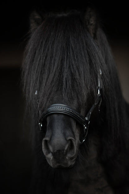 TopReiter Snillingur Leder Halfter